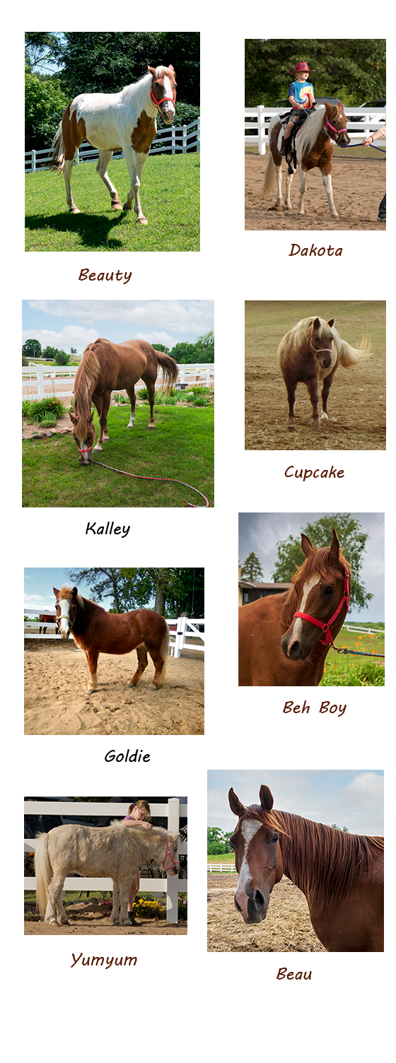 our ponies